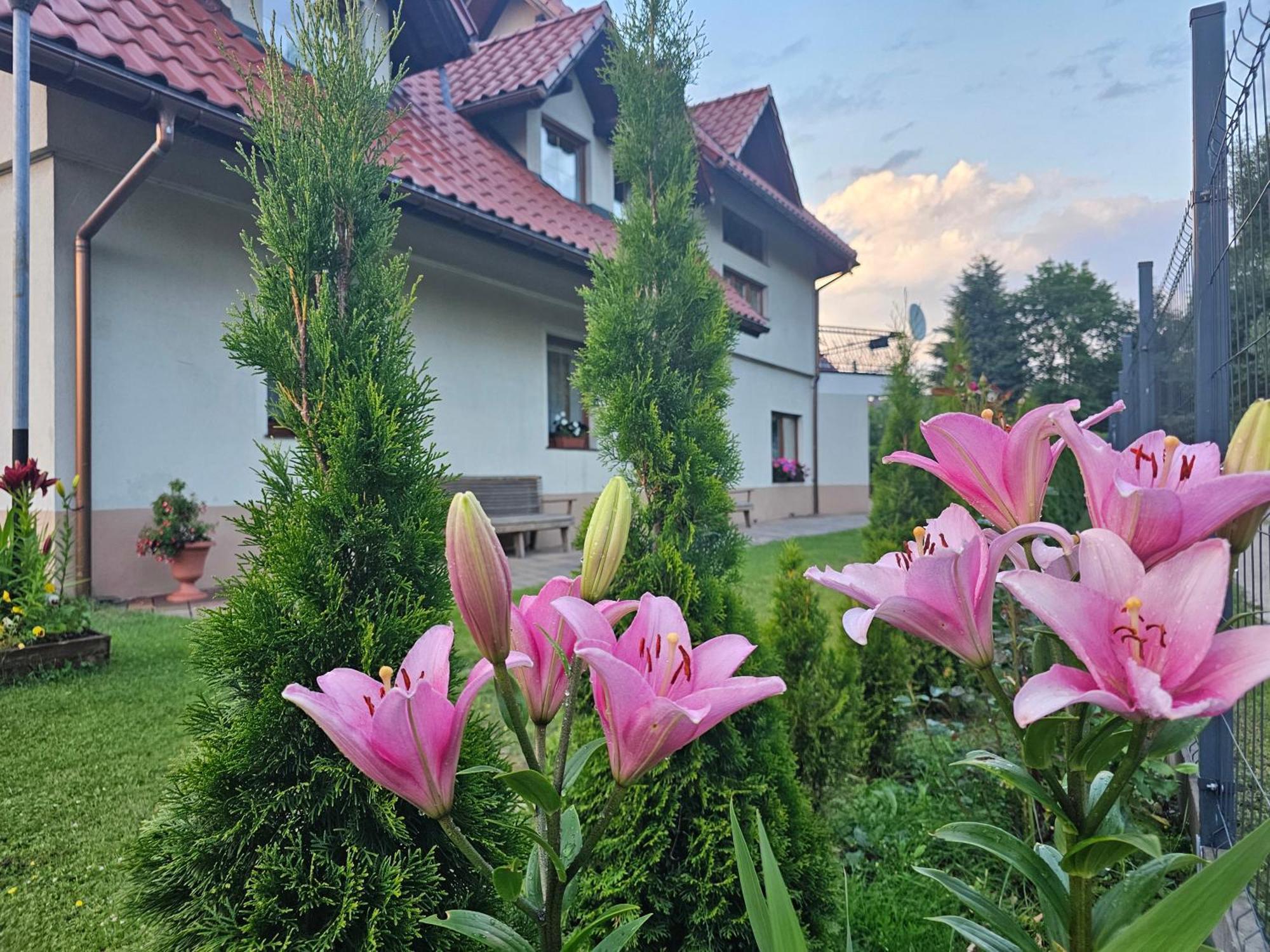 Dom Wypoczynkowy Beskidy Wegierska Gorka Esterno foto