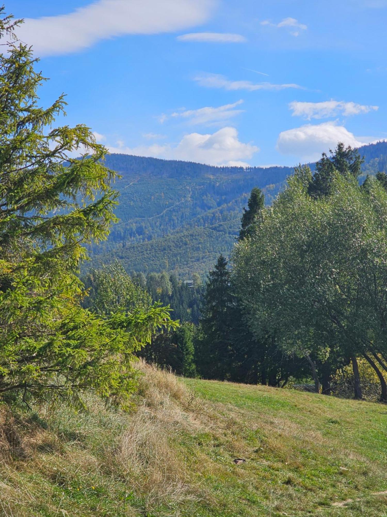 Dom Wypoczynkowy Beskidy Wegierska Gorka Esterno foto